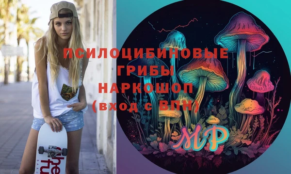 крисы Верхнеуральск