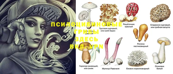МДПВ Богданович