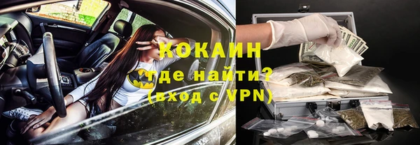 мяу мяу мука Бородино