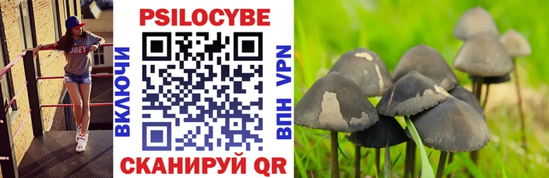 Галлюциногенные грибы прущие грибы  Киселёвск 